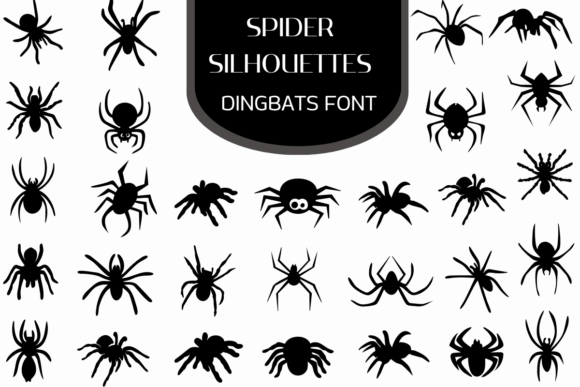Spider Silhouettes Font for Branding Projects